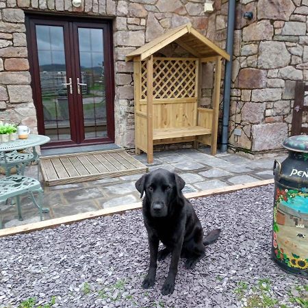 Conwy Pen Cefn Farm Holiday Abergele Εξωτερικό φωτογραφία