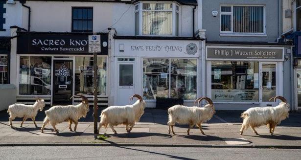 Conwy Pen Cefn Farm Holiday Abergele Εξωτερικό φωτογραφία