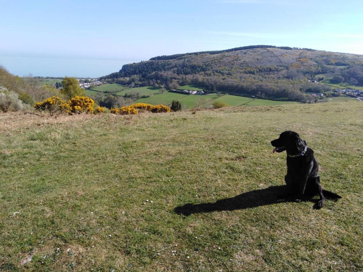 Conwy Pen Cefn Farm Holiday Abergele Εξωτερικό φωτογραφία